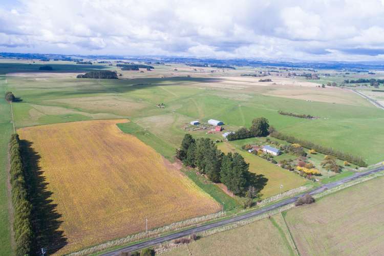 63b Sligo Terrace Roslyn_1