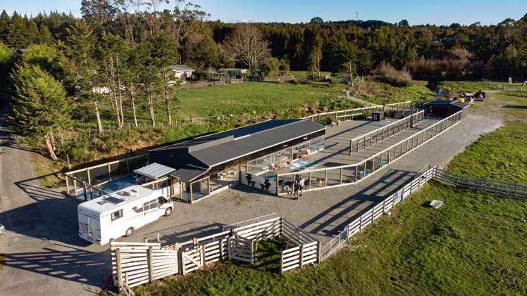 987 State Highway 6 Camerons_28