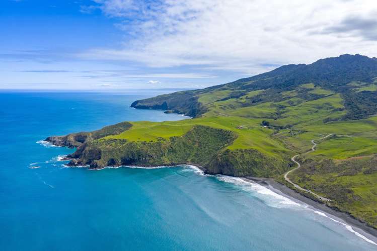1597 Whaanga Road Raglan_12