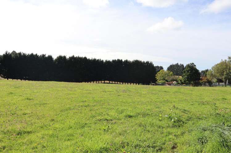 106 Tutu Hill Road_4