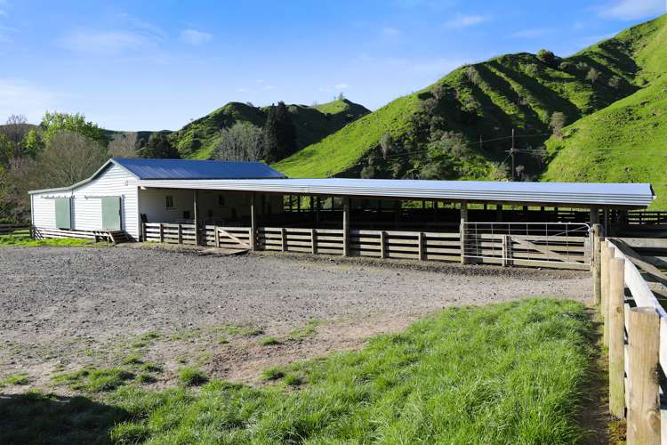 292 Aramahoe Road Taumarunui_16