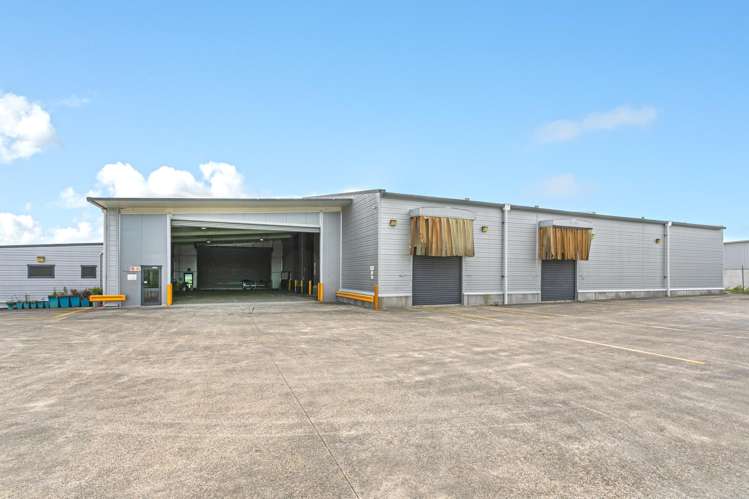 34/38 Domain Road Putaruru_4