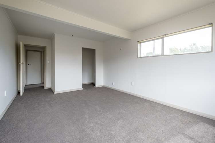 58 Alma Street Renwick_4