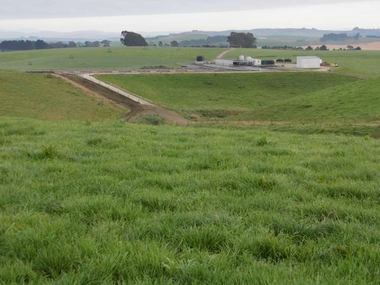 191 Cowans Road Enfield and Surrounds_8