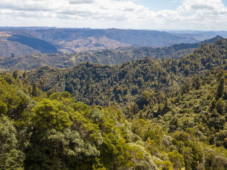 552b Cuff Road National Park_7