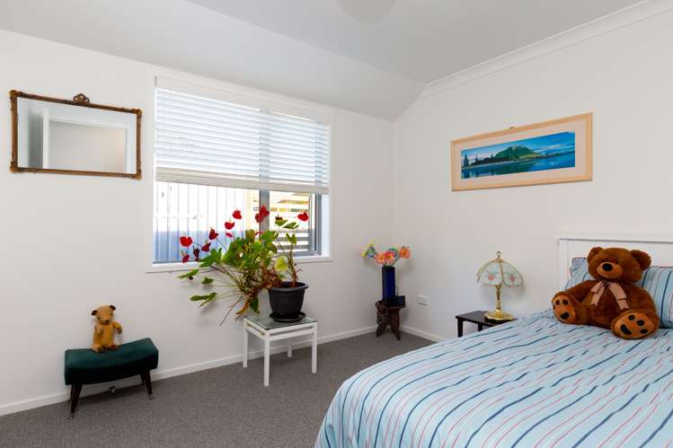 9 Tui Drive Picton_13