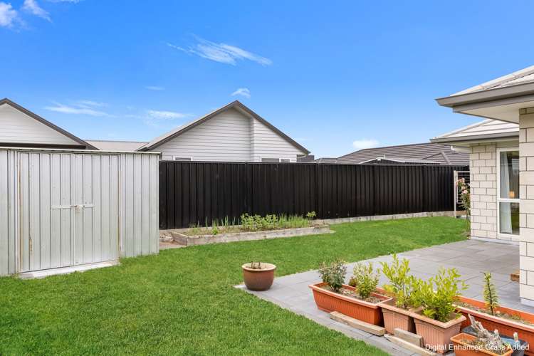 6 Mayfly Grove Nukuhau_19