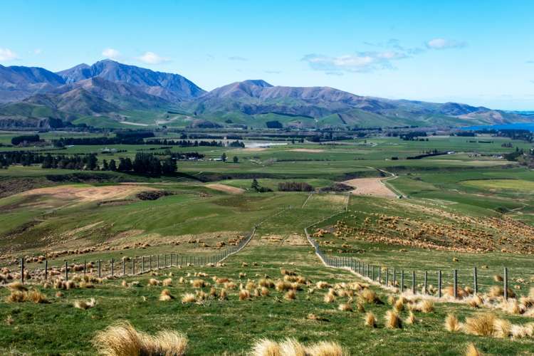 347 Butlers Road Fairlie_2