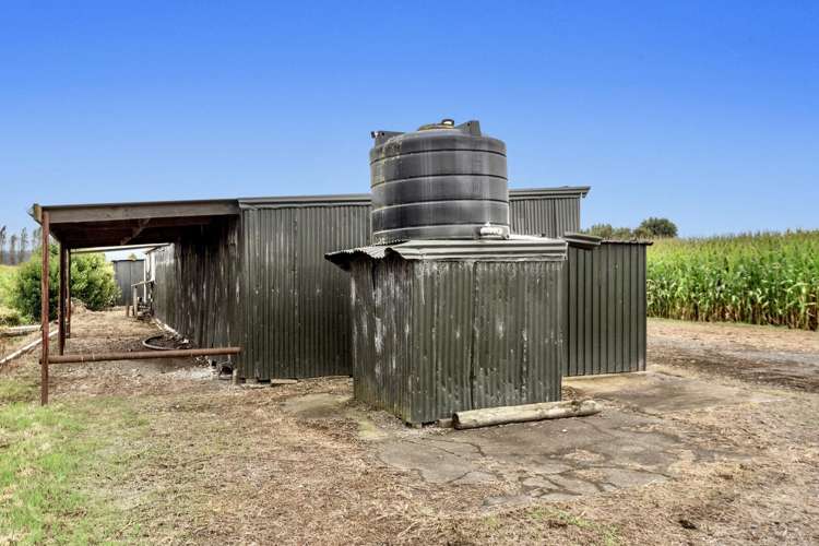 164 Otakiri Road Edgecumbe_33