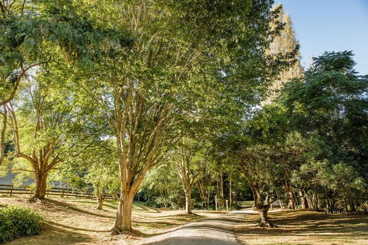 186 Twilight Road Clevedon_28