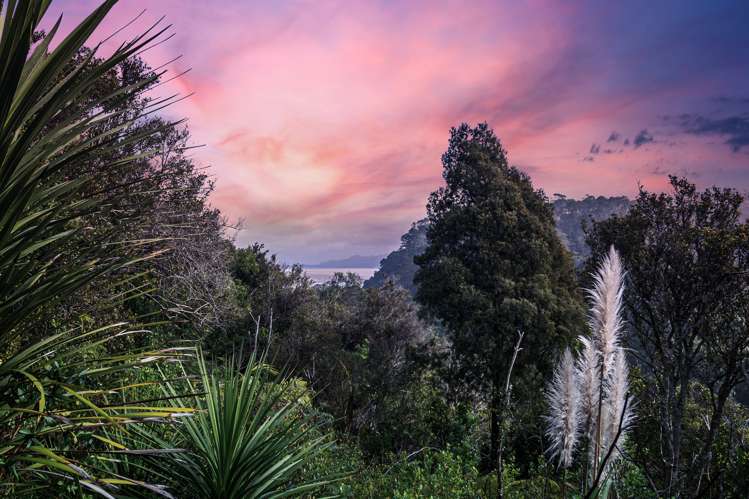 39h Cape Horn Road Mount Roskill_1