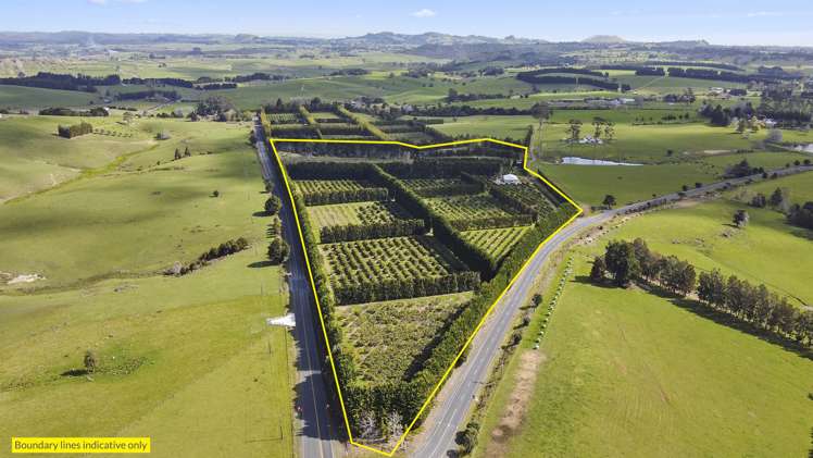 908 Te Ahu Ahu Road Waimate North_18