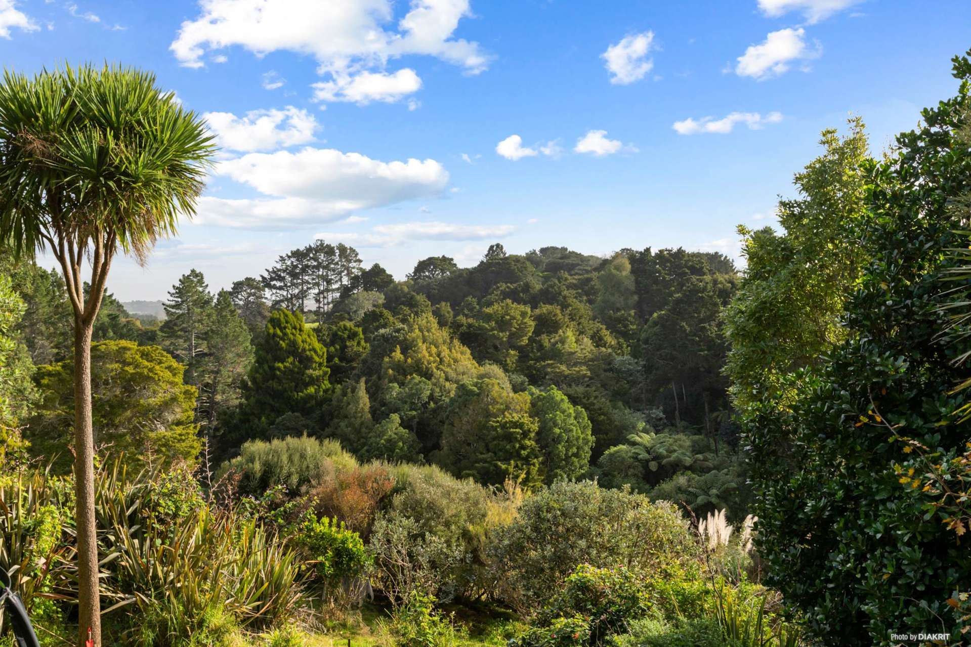 37B Harrisville Road Tuakau_0
