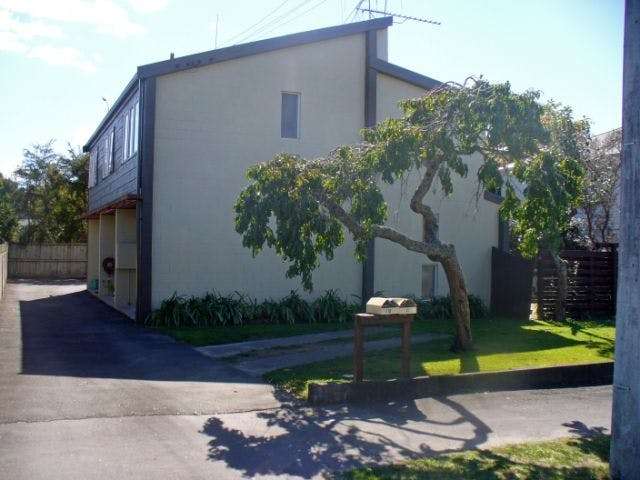 11a Myrtle Street Hamilton East_1