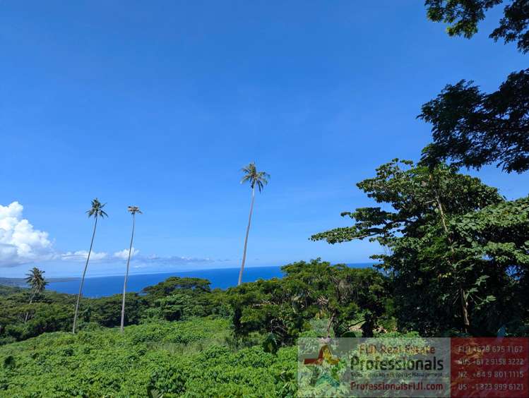 Address withheld Taveuni_19