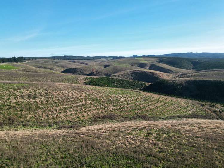 Lot 2/339 Rankleburn Road Rankleburn_6