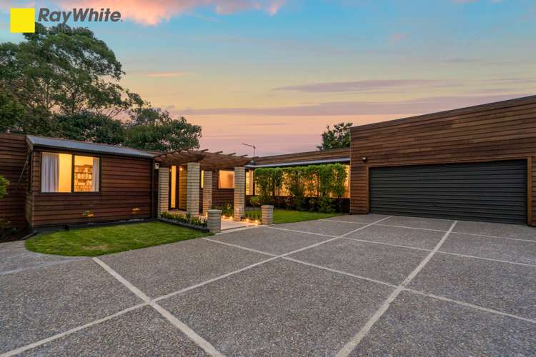 156 Ara-Kotinga Whitford_25