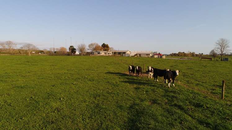 27 Gunn Road Matamata_19