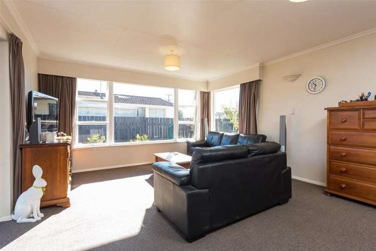 64 Howick Road Redwoodtown_7