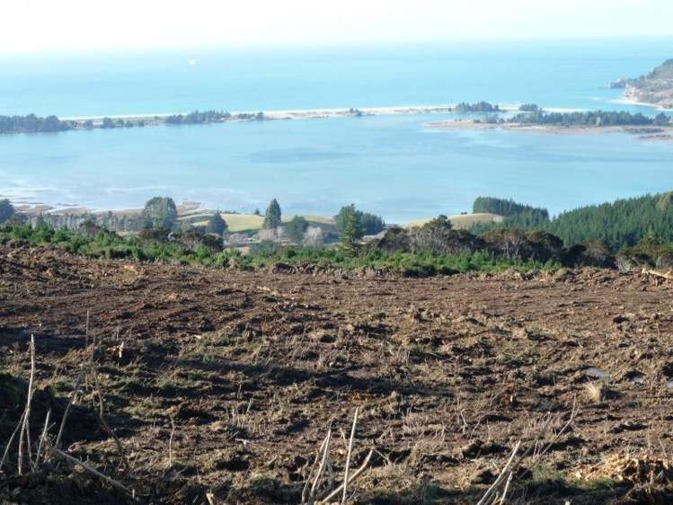 113 Wright Road Evansdale_7