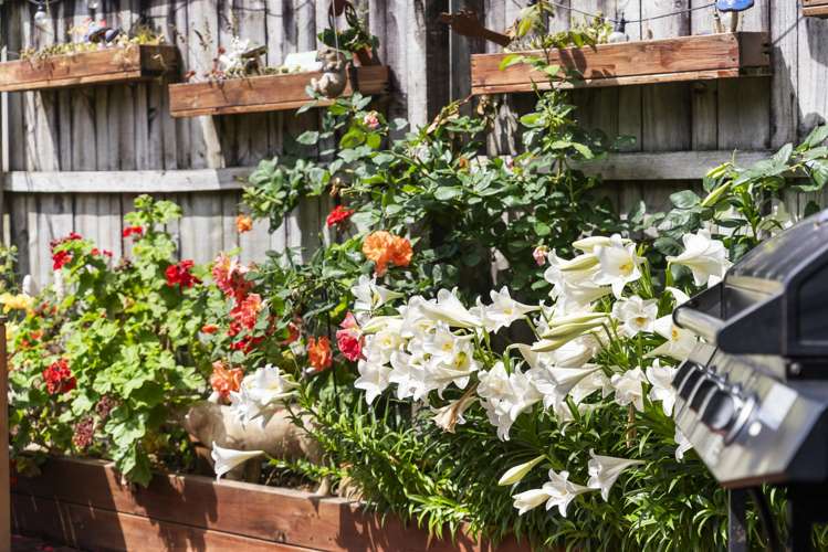 16 Emmerdale Avenue Papakura_23