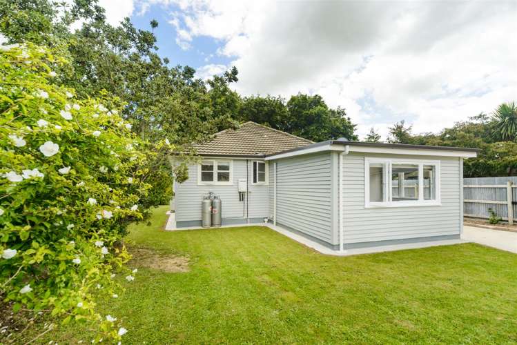 9 Bull Street Bulls_18