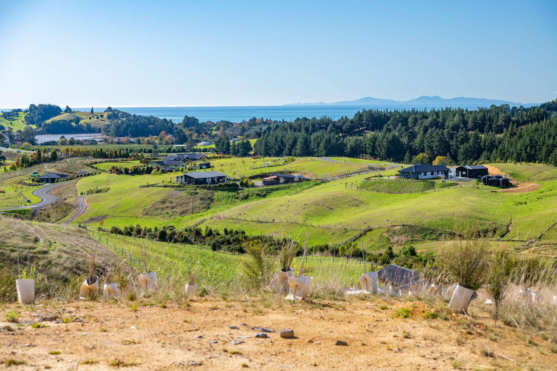 237 Harley Road Tasman_0