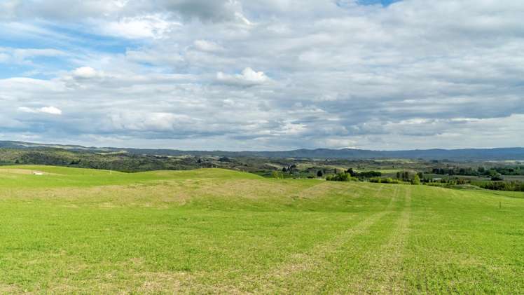 Corrigall Road Chatto Creek_23