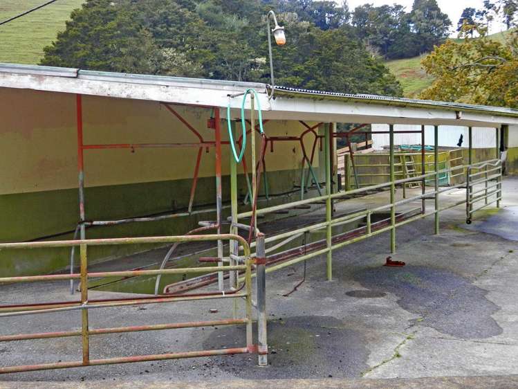 698 Whananaki South Road Whananaki_4