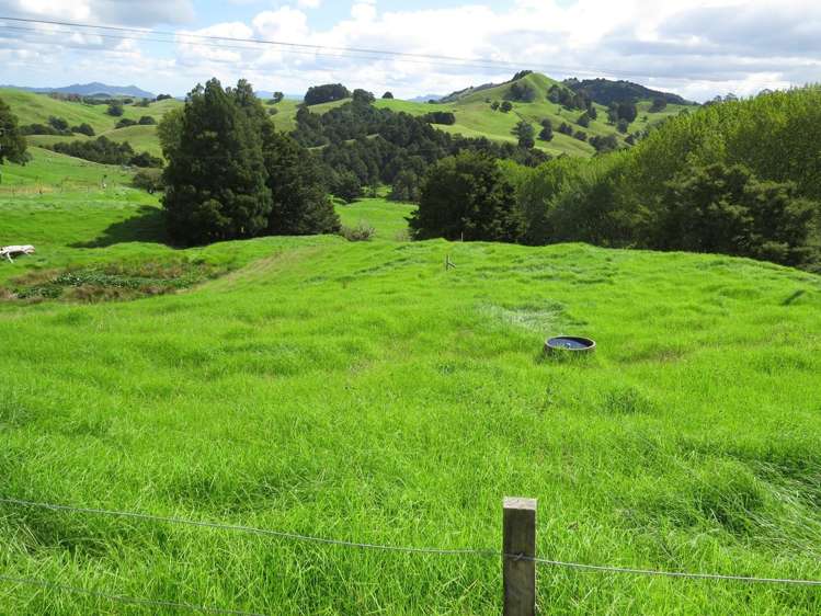 1877 Pipiwai Road Ruatangata_15