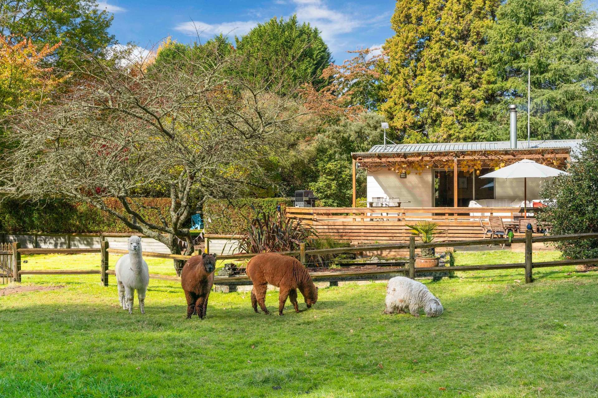 175 Forest Road Oruanui_0