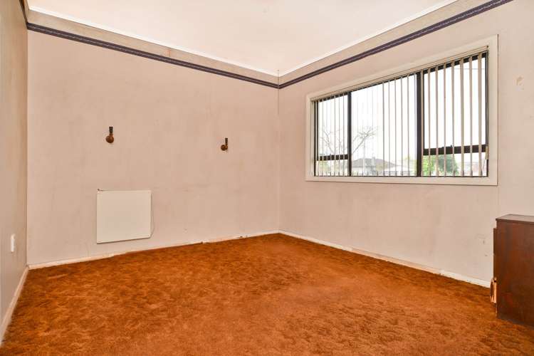 11 Nelson Street Hamilton East_11