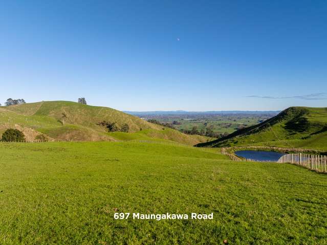 697 and 699 Maungakawa Road Cambridge_3