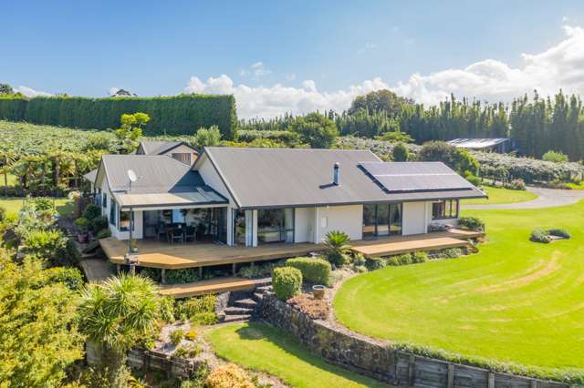 43z Blue Gum Lane Kerikeri_2