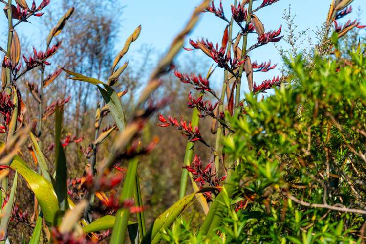 847 Lake Brunner Road Moana_21