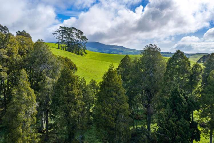 554 Maungatawhiri Road (bare block) Raglan_13