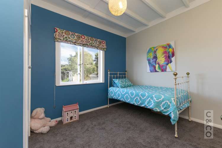 315 School Road Waimauku_4