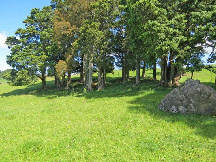 202 Knight Road Ruatangata_12