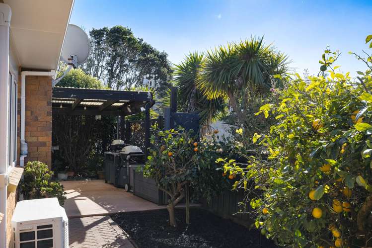 5 Shadon Place Stanmore Bay_10