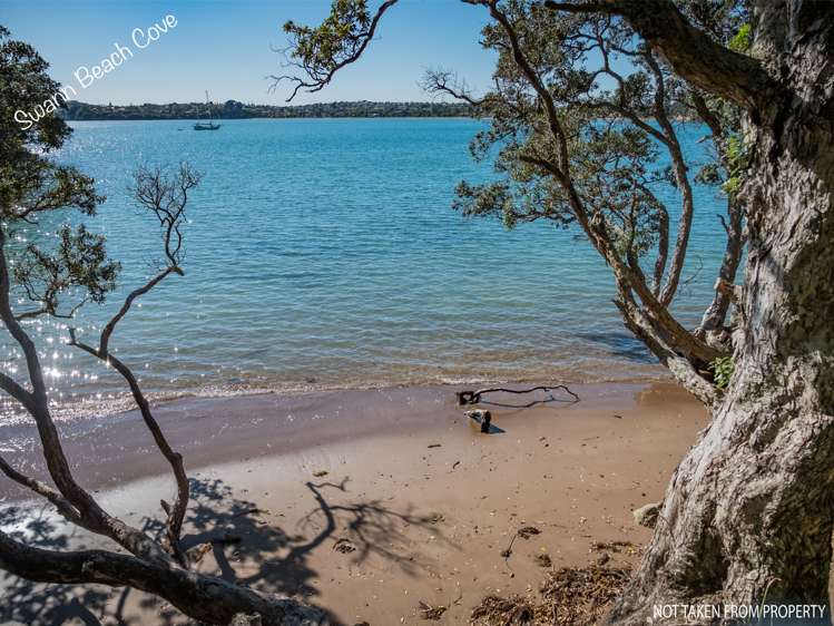 19 Melandra Road Stanmore Bay_16