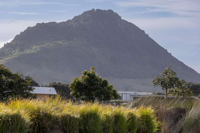 4/41 Kawaka Street Mount Maunganui_1