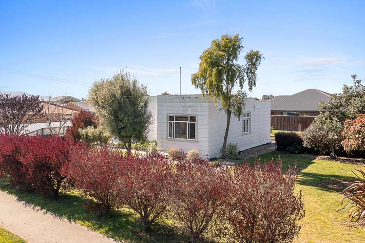 259a Scott Street Redwoodtown_18