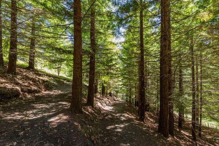 77 Black Barn Road Havelock North_26