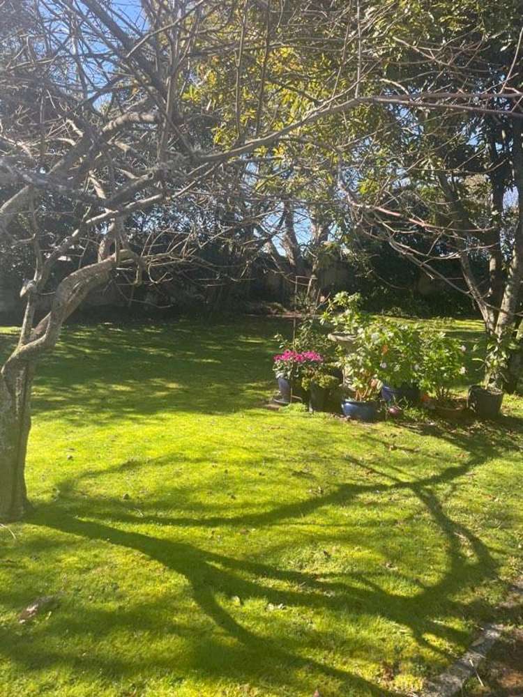 53 Anglesea Street Hamilton Central_2