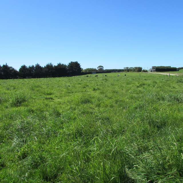 Maitland lifestyle and grazing opportunity