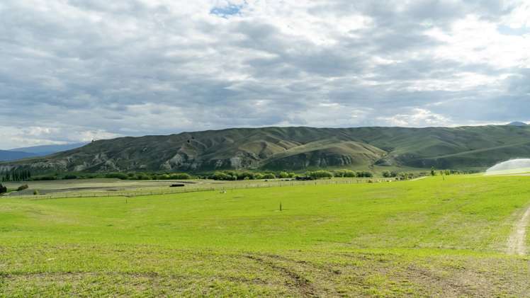 Corrigall Road Chatto Creek_21