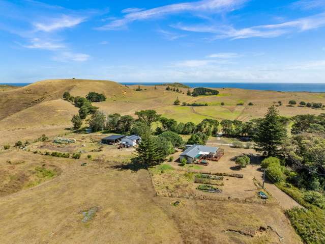 1415 Babylon Coast Road Dargaville_4