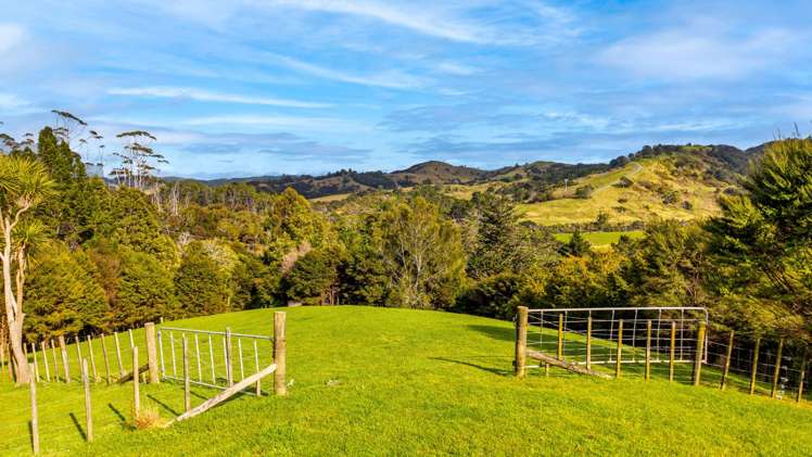 700 Hibiscus Coast Highway Hatfields Beach_16