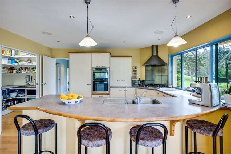 409 Seafield Road Eskdale_5