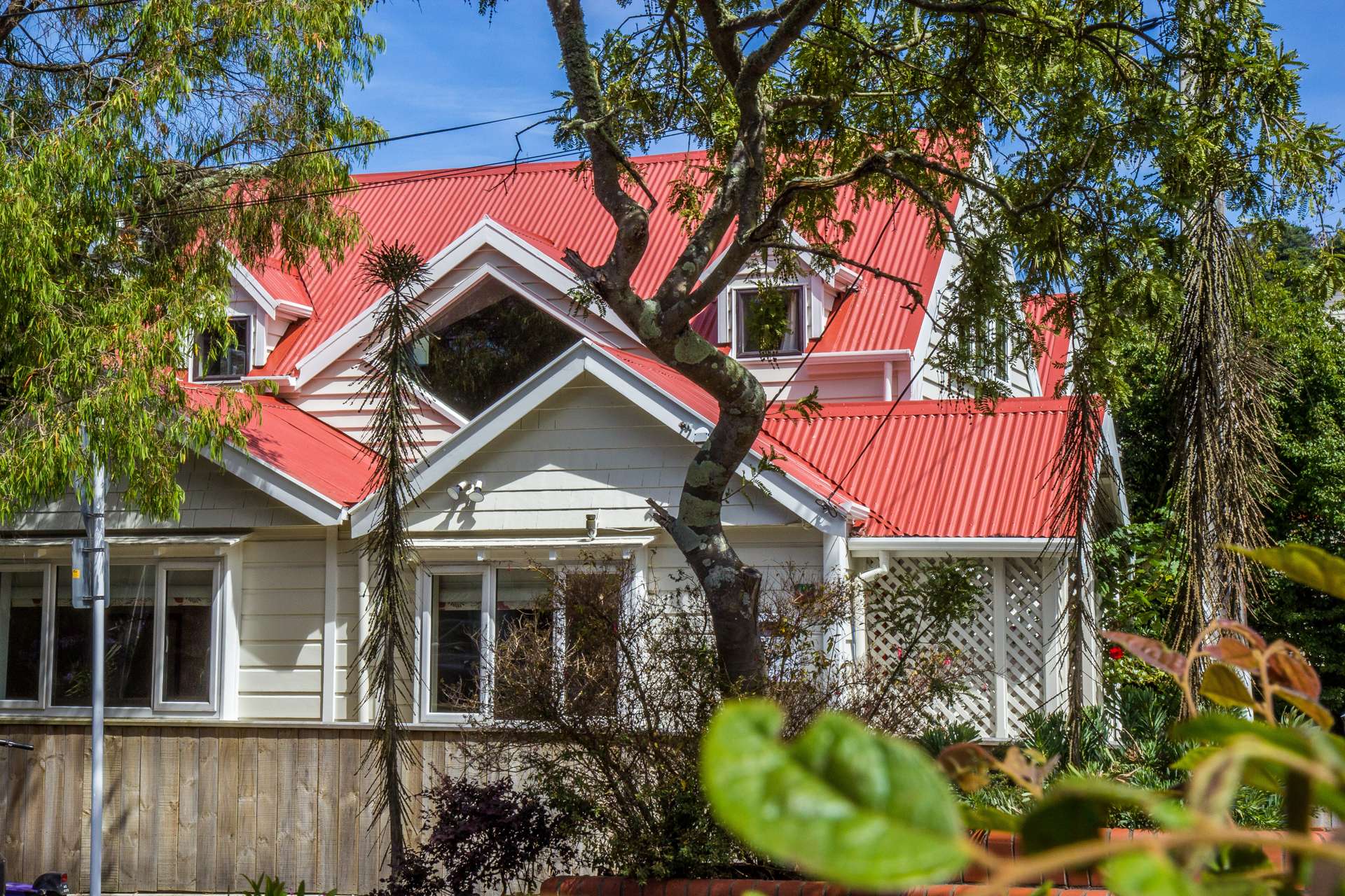 109 Aro Street Aro Valley_0